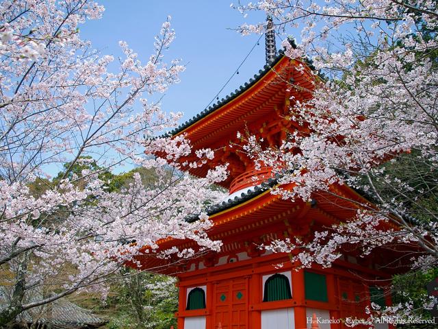 Kimii-dera